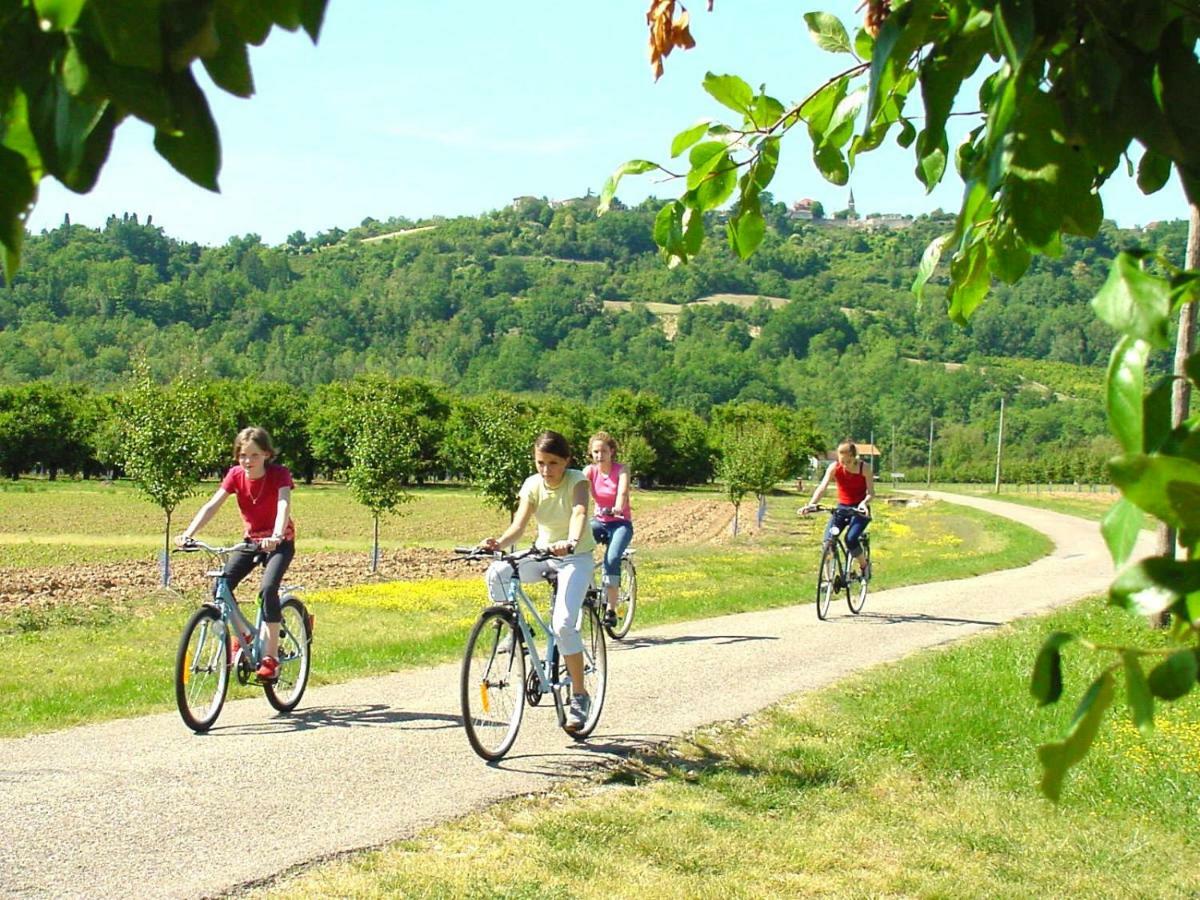 Gites La Bakenia Villeneuve-sur-Lot Dış mekan fotoğraf